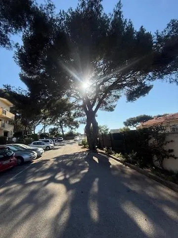 Apartman Petit Bijou